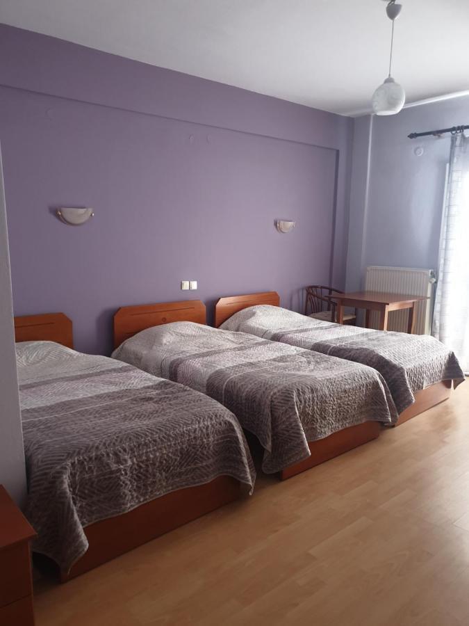 Krystal Hotel Krystallopigi Bagian luar foto