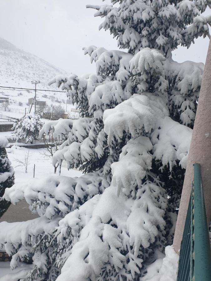 Krystal Hotel Krystallopigi Bagian luar foto