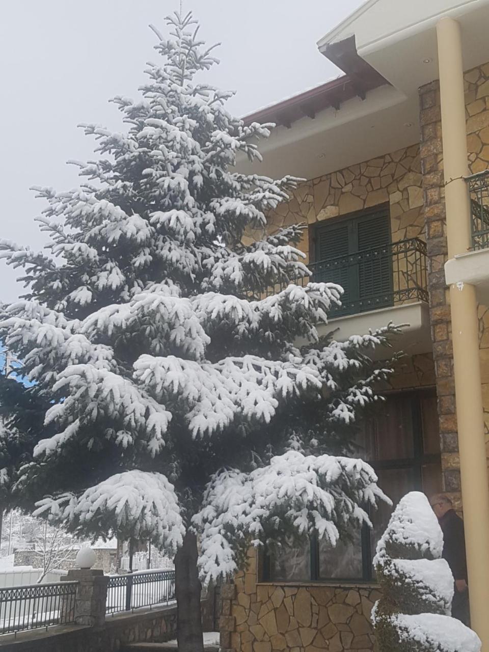 Krystal Hotel Krystallopigi Bagian luar foto